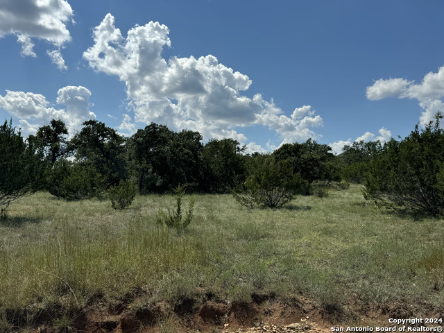 114 Peter Kleid Loop Property Photo 8