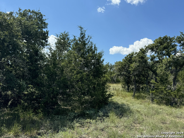 114 Peter Kleid Loop Property Photo 11