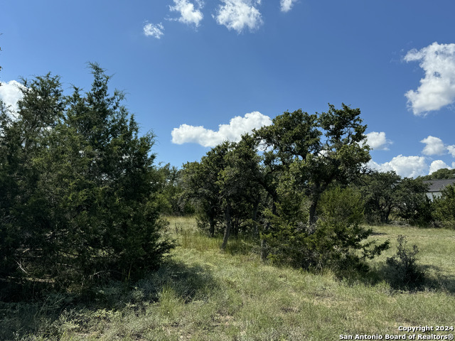 114 Peter Kleid Loop Property Photo 12