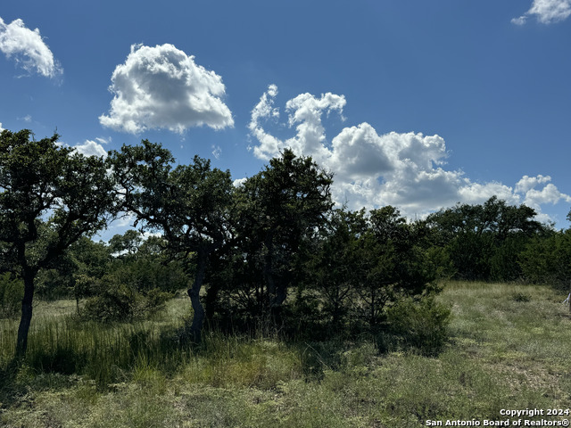 114 Peter Kleid Loop Property Photo 13
