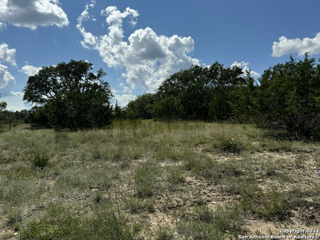 114 Peter Kleid Loop Property Photo 14