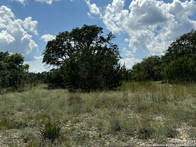 114 Peter Kleid Loop Property Photo 15