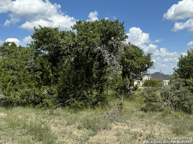 114 Peter Kleid Loop Property Photo 16