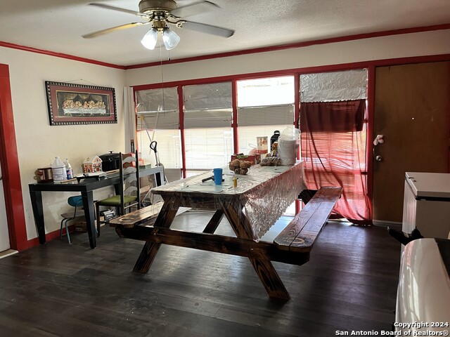 20268 Farm To Market Rd 471 S Property Photo 6