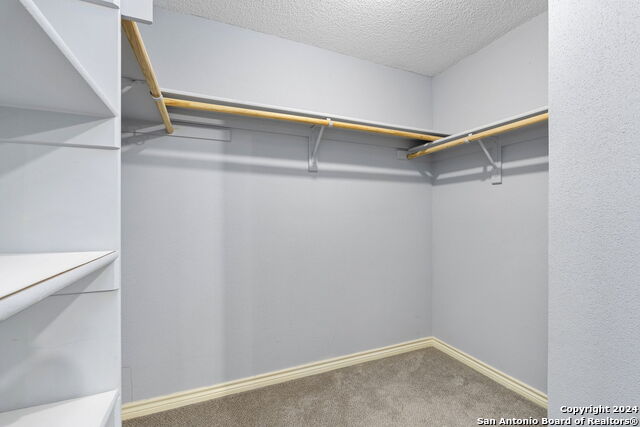8016 Forest Ash Property Photo 31