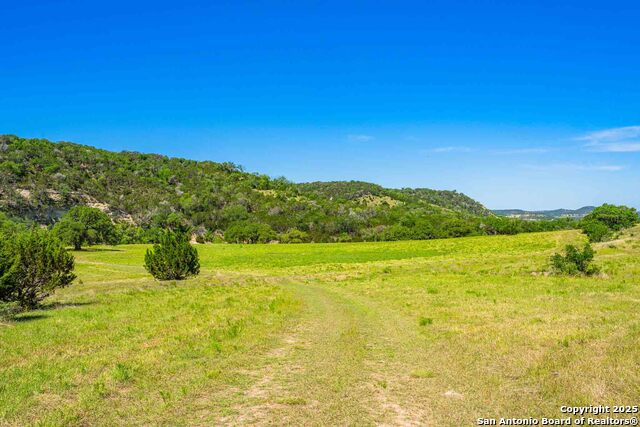 161 Flach Rd E Property Photo 50