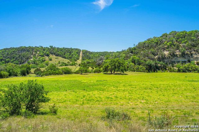161 Flach Rd E Property Photo 66