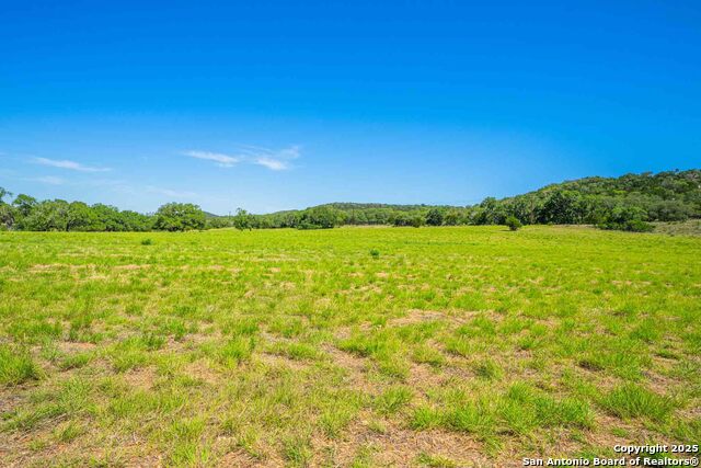 161 Flach Rd E Property Photo 67