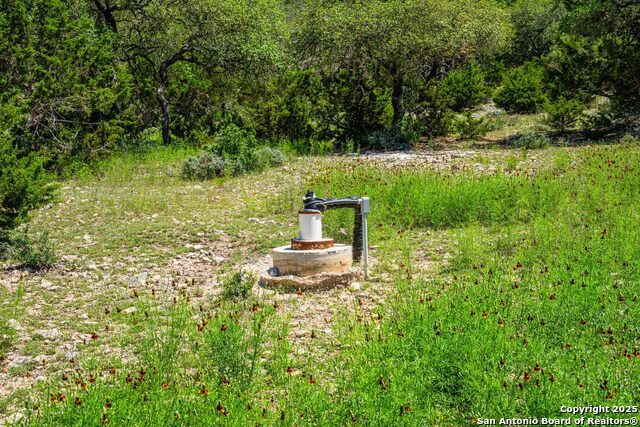 161 Flach Rd E Property Photo 88
