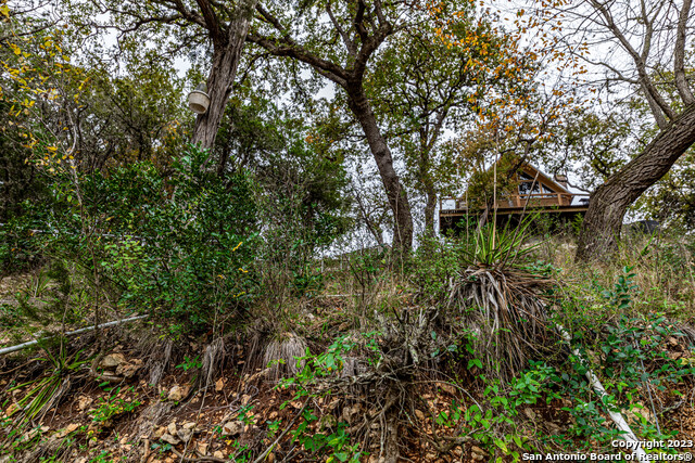 464 County Rd 262 Property Photo 46
