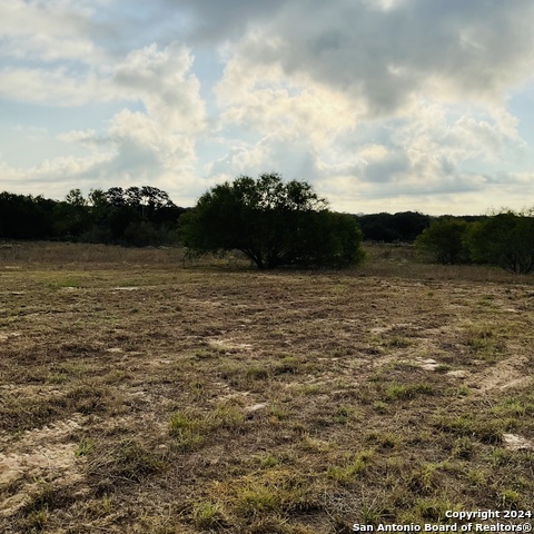 Tbd Us Highway 181 Property Photo 9