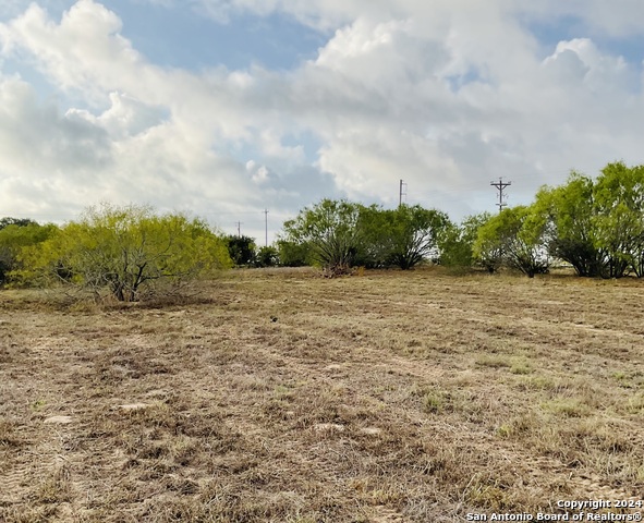 Tbd Us Highway 181 Property Photo 11