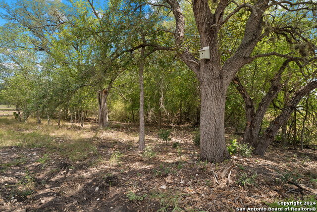 Tbd Highway 90 Property Photo 5