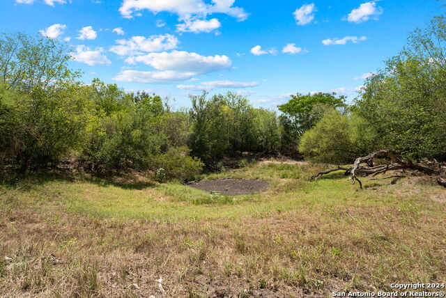 Tbd Highway 90 Property Photo 6