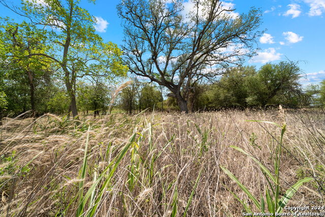 Tbd Highway 90 Property Photo 10