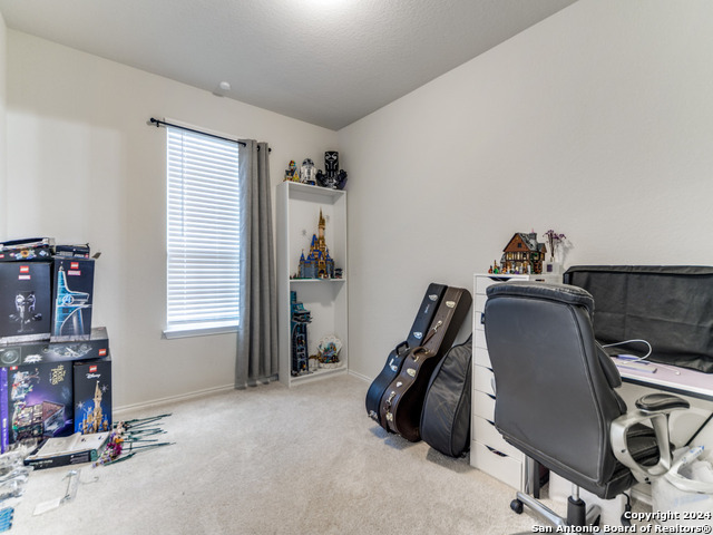 10507 Brady Creek Property Photo 16