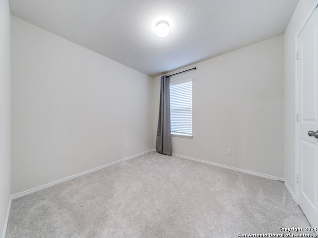 10507 Brady Creek Property Photo 17
