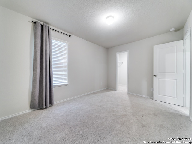 10507 Brady Creek Property Photo 18