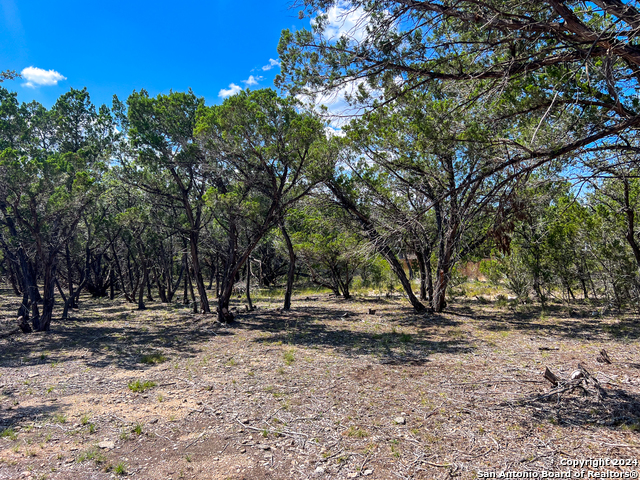 656 Skyline Dr Property Photo 1