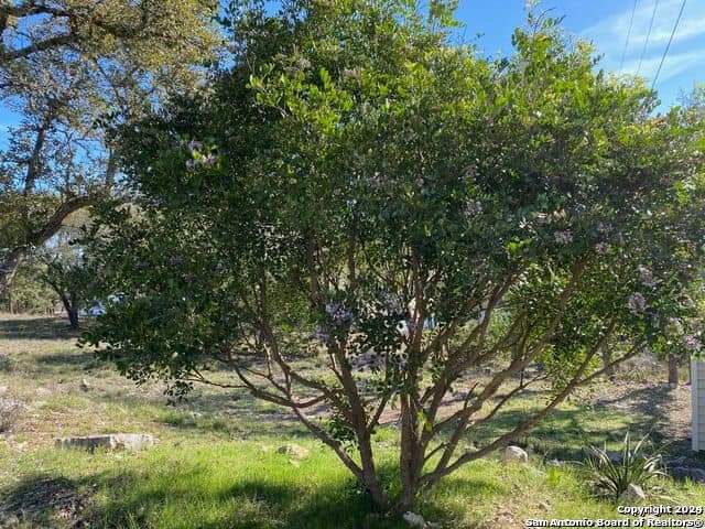 369 Thomas Property Photo 12