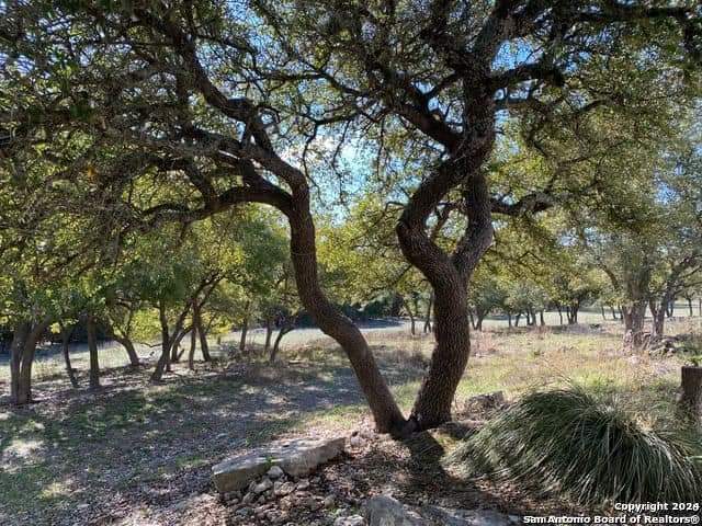 369 Thomas Property Photo 13
