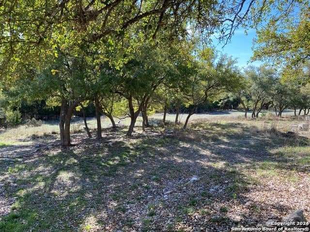 369 Thomas Property Photo 14
