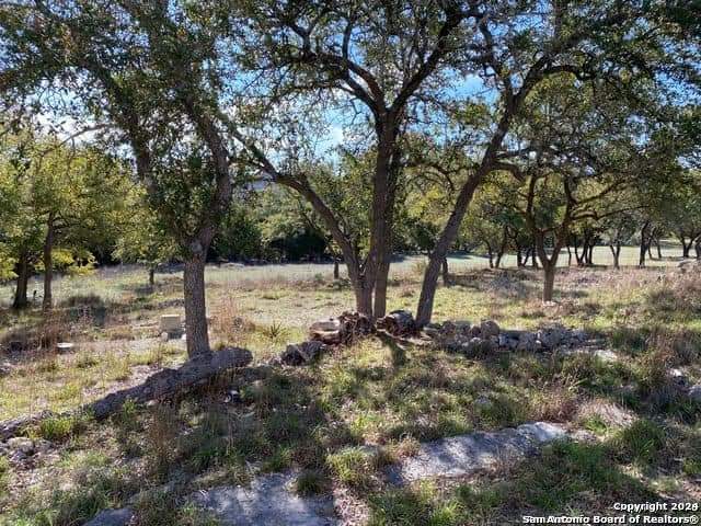 369 Thomas Property Photo 16