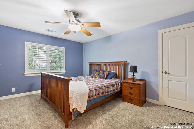 306 Persimmon Trl Property Photo 28