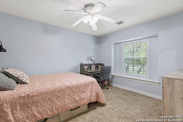 306 Persimmon Trl Property Photo 33