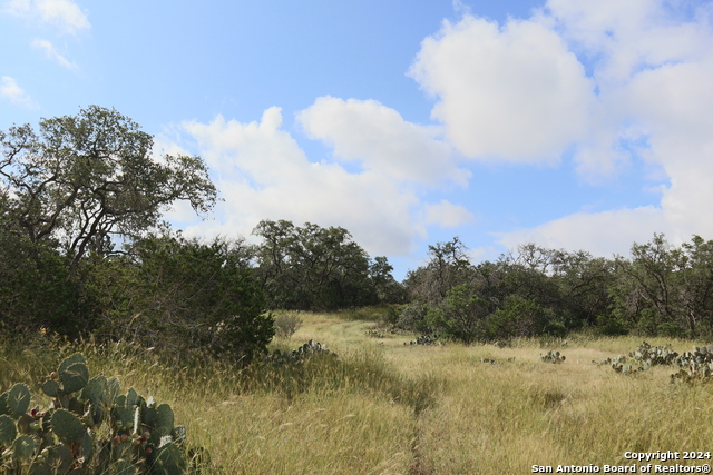 0 Pr 2491 Hwy 173 S Property Photo 1
