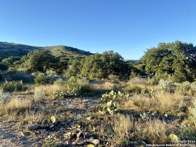 Lot 4b 22819 S. Hwy 55 Property Photo 3