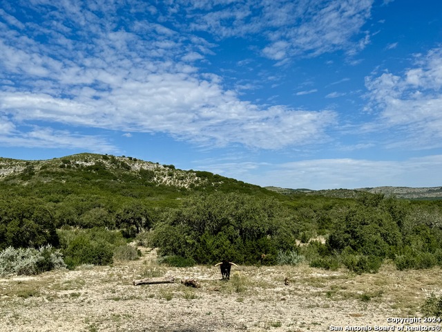 Lot 4b 22819 S. Hwy 55 Property Photo 4