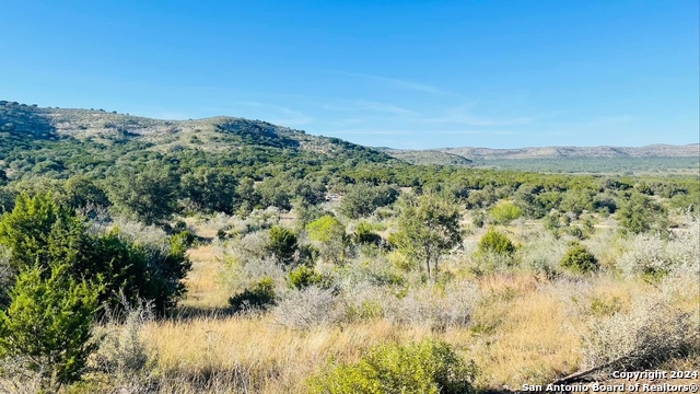 Lot 4b 22819 S. Hwy 55 Property Photo 10