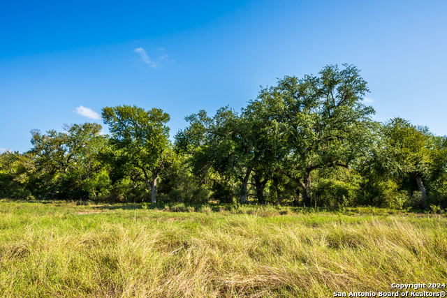 0000 Cr 646 Property Photo 3