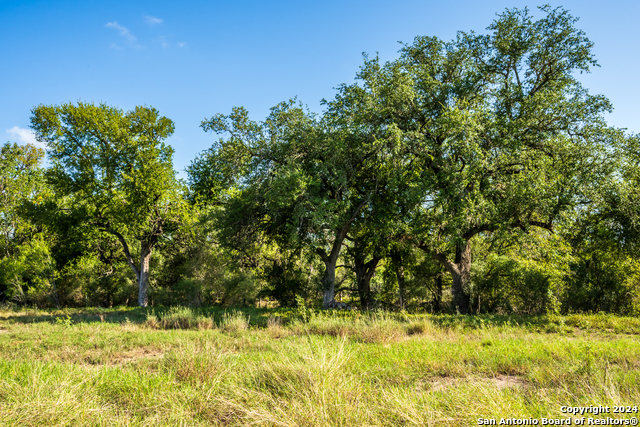0000 Cr 646 Property Photo 4