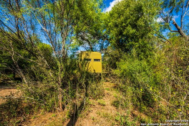 0000 Cr 646 Property Photo 8