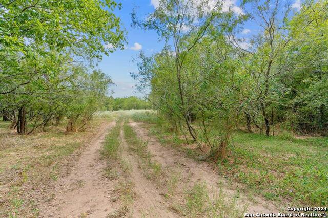 689 Chamberlin Road Property Photo 4