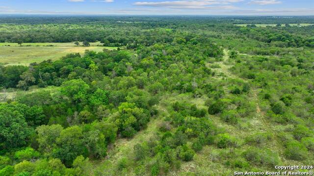 689 Chamberlin Road Property Photo 5