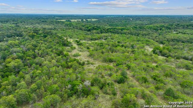 689 Chamberlin Road Property Photo 6
