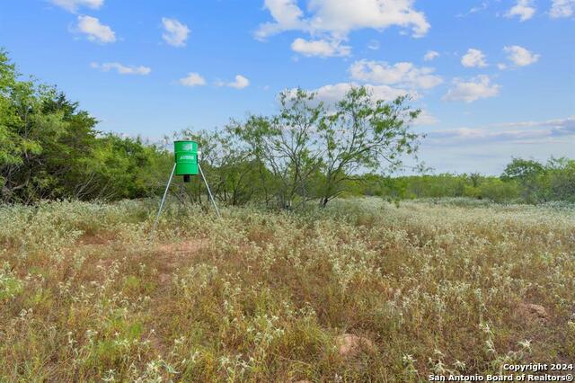689 Chamberlin Road Property Photo 10
