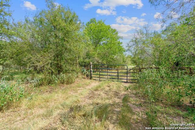 689 Chamberlin Road Property Photo 11