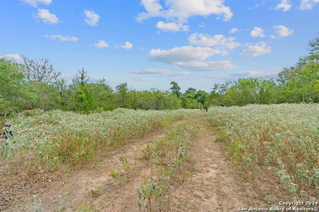 689 Chamberlin Road Property Photo 12