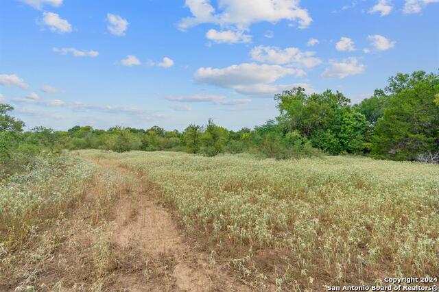 689 Chamberlin Road Property Photo 13