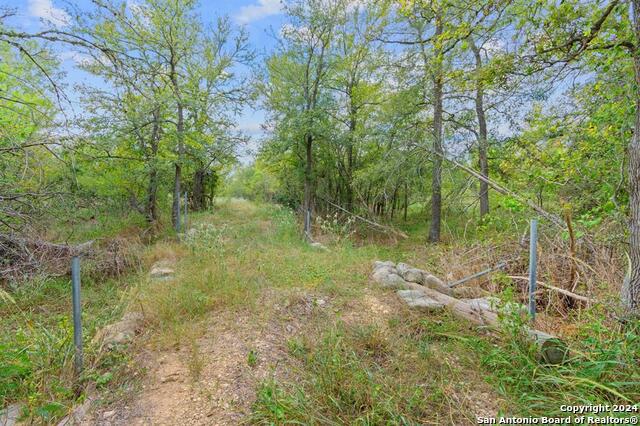 689 Chamberlin Road Property Photo 14