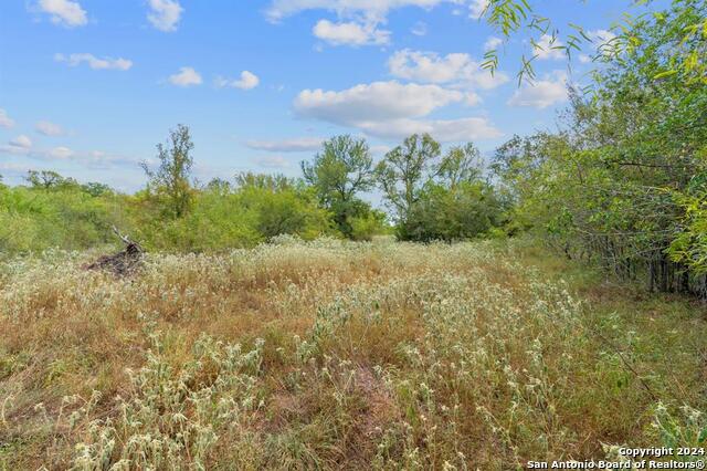689 Chamberlin Road Property Photo 15