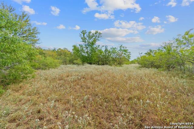 689 Chamberlin Road Property Photo 18