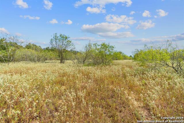 689 Chamberlin Road Property Photo 20