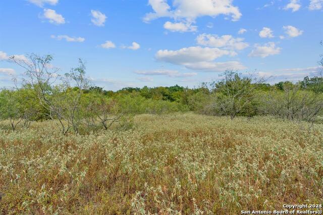 689 Chamberlin Road Property Photo 21