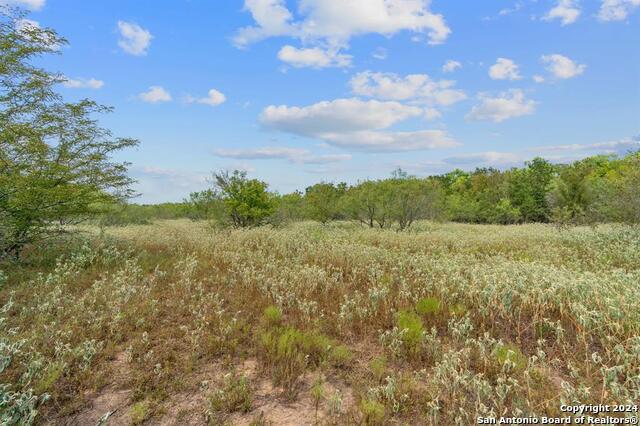 689 Chamberlin Road Property Photo 22