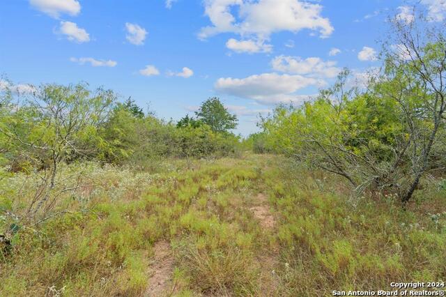 689 Chamberlin Road Property Photo 23